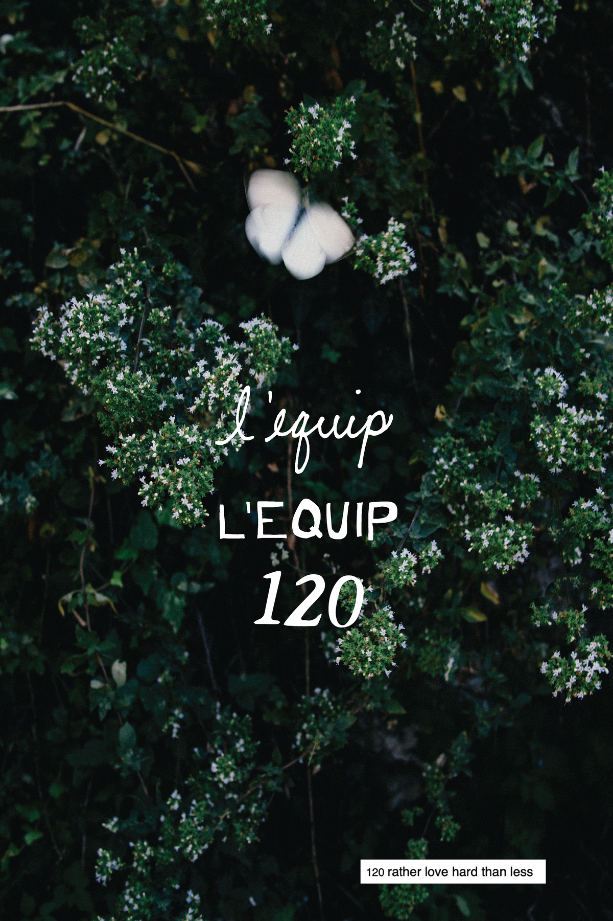 Weekly 120
